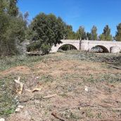 Ecologistas en Acción exige al Ayuntamiento de León que paralice la “destrucción” de la ribera del río Torio a la altura de Puente Castro