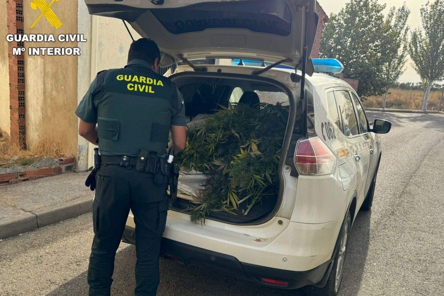 marihuana guardia civil