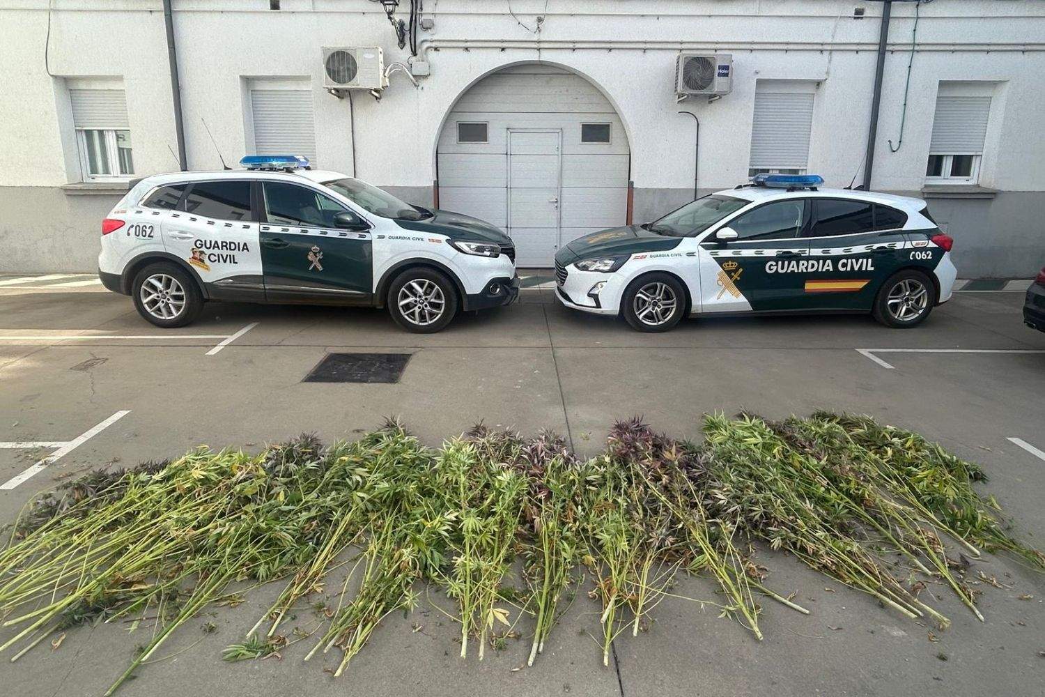 marihuana guardia civil (1)