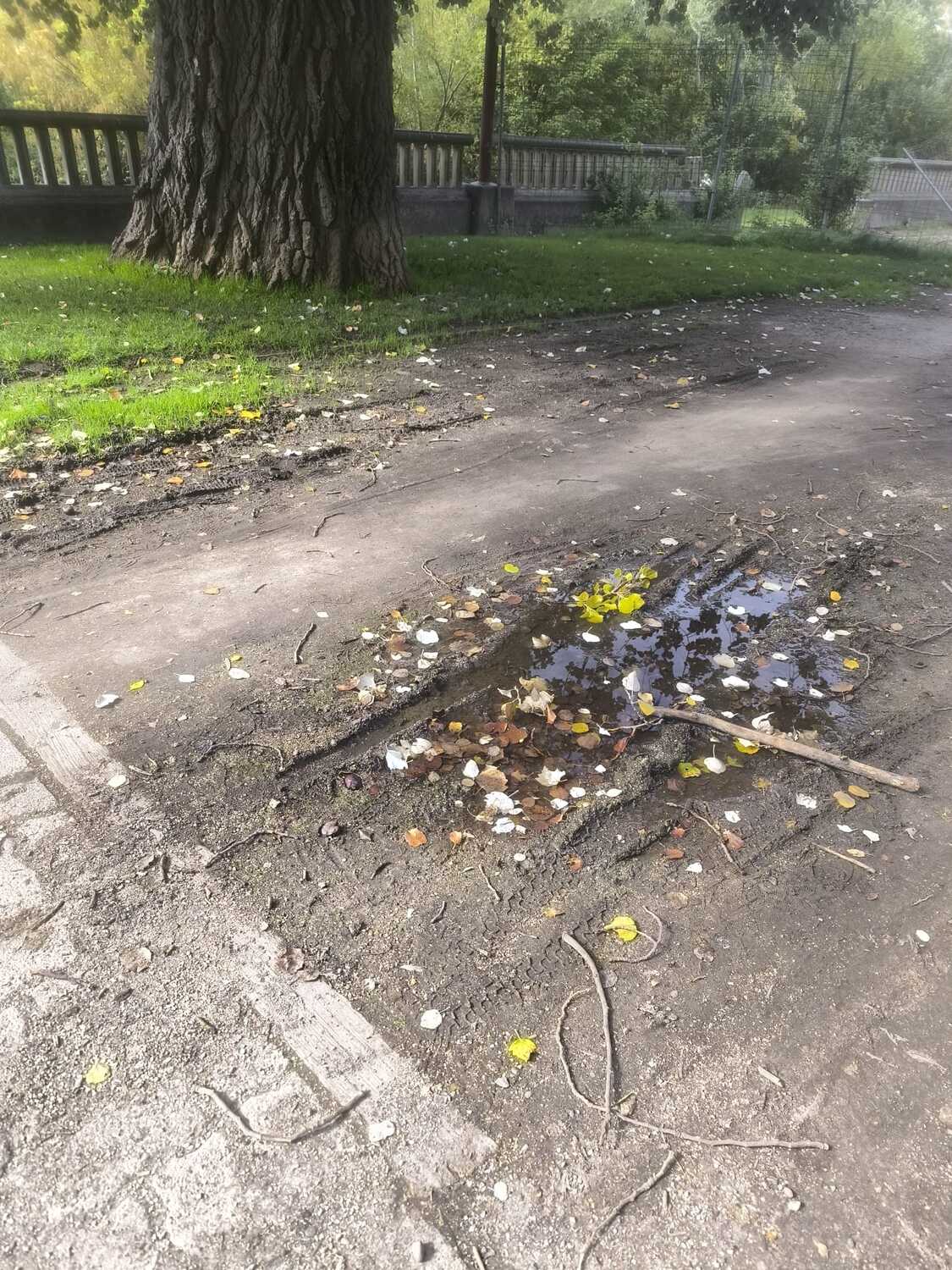 IMG 20251015 WA0010 IMG 20251015 WA0010