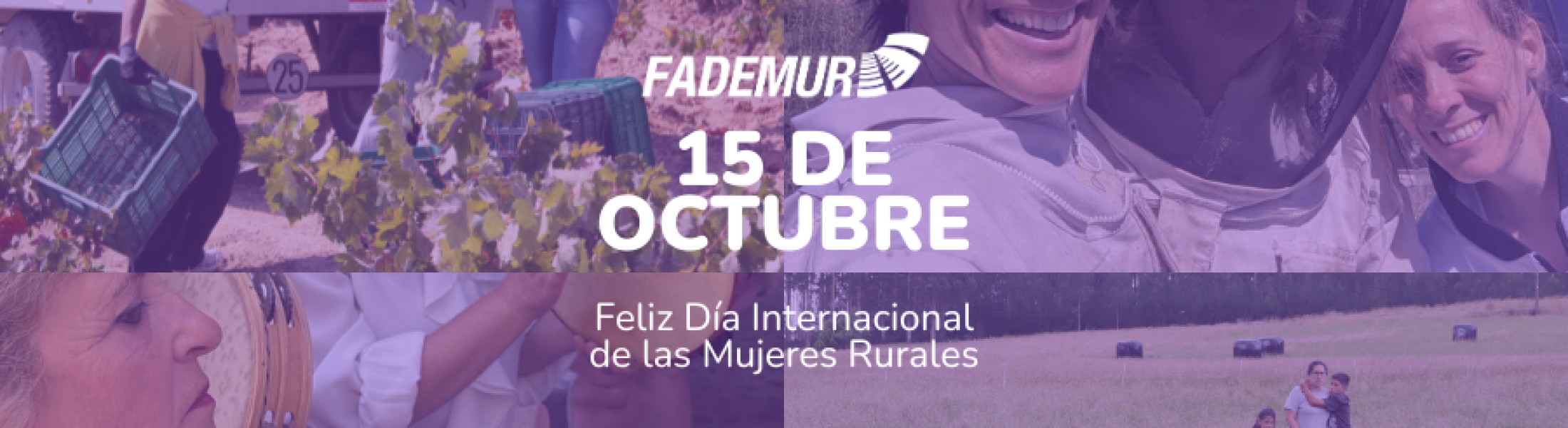 dimr portada rd8ryqh0cqs93fn6yr7ujl3b6gamxtlqt452ioiv00