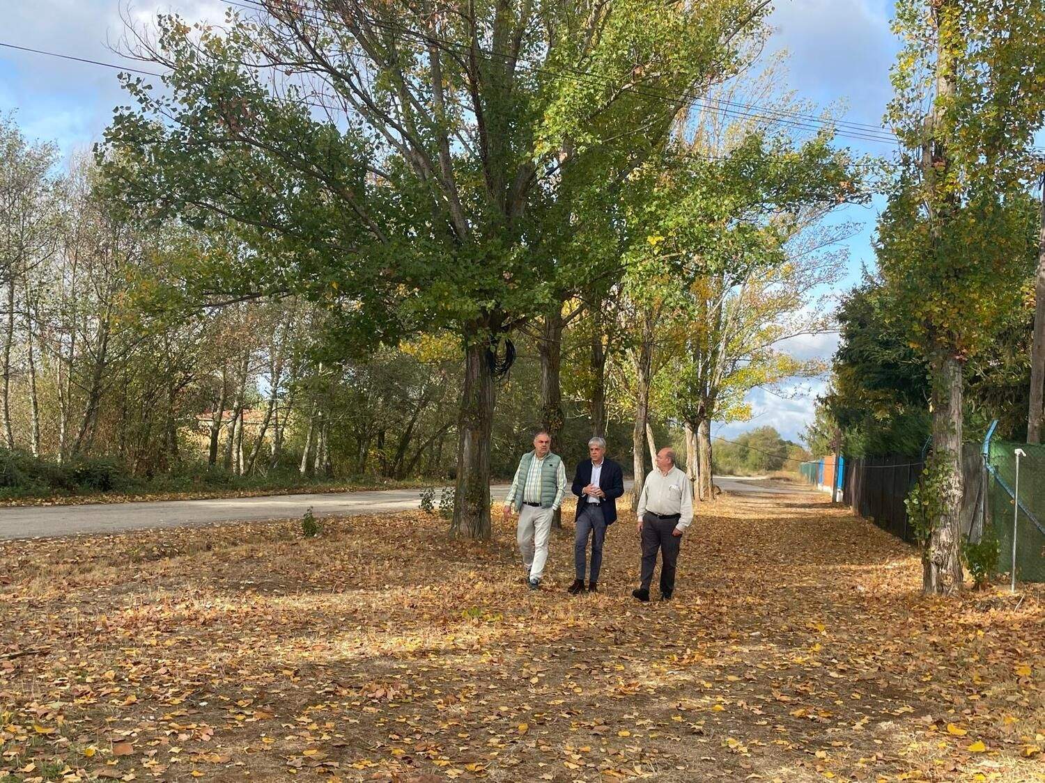 Anillo verde Astorga VI