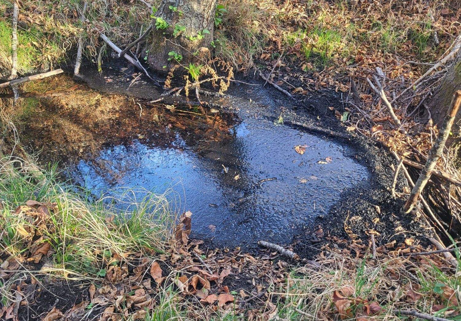 La CHD confirma la contaminación de los acuíferos en las zonas afectadas por los incendios en León