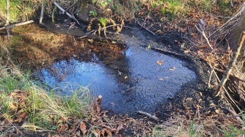 La CHD confirma la contaminación de los acuíferos en las zonas afectadas por los incendios en León
