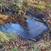 La CHD confirma la contaminación de los acuíferos en las zonas afectadas por los incendios en León