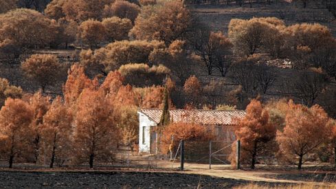 Las consecuencias del incendio en Castrocalbón (León) | Peio García / ICAL