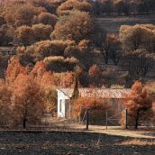 Las consecuencias del incendio en Castrocalbón (León) | Peio García / ICAL