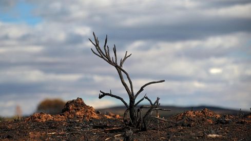 Las consecuencias de los incendios en Castrocalbón (León) | Peio García / ICAL