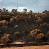 Las consecuencias de los incendios en Castrocalbón (León) | Peio García / ICAL