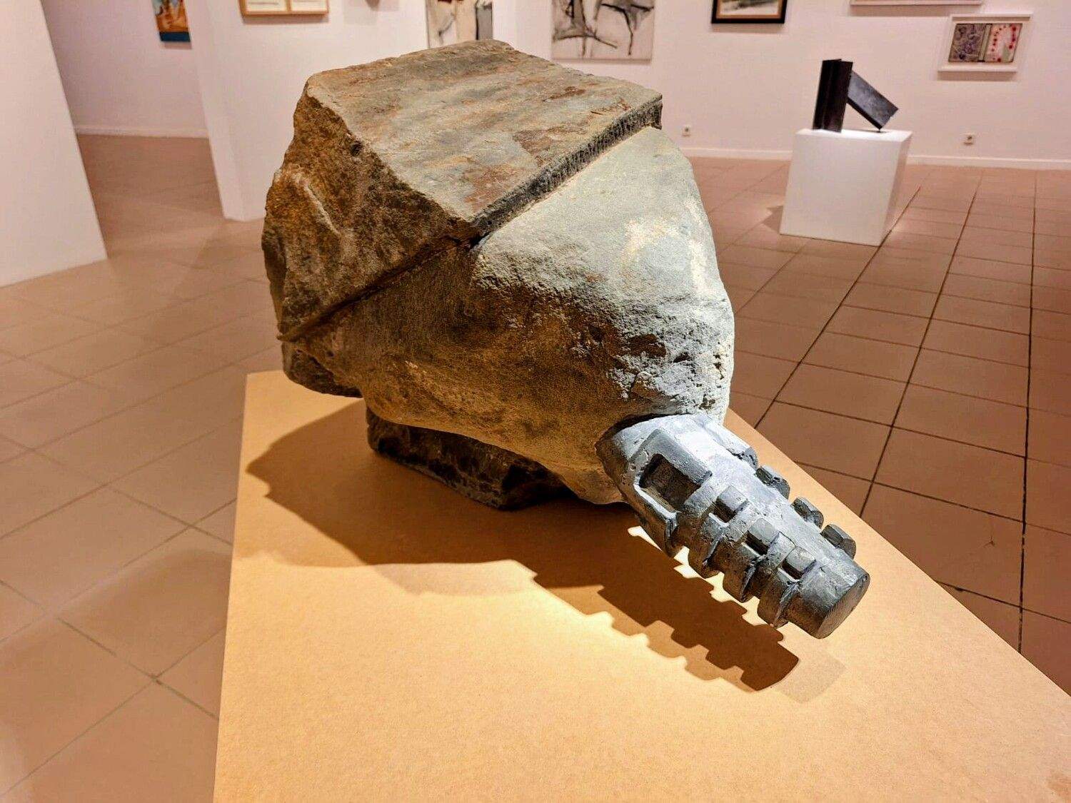 Exposición adquisiciones ILC 5