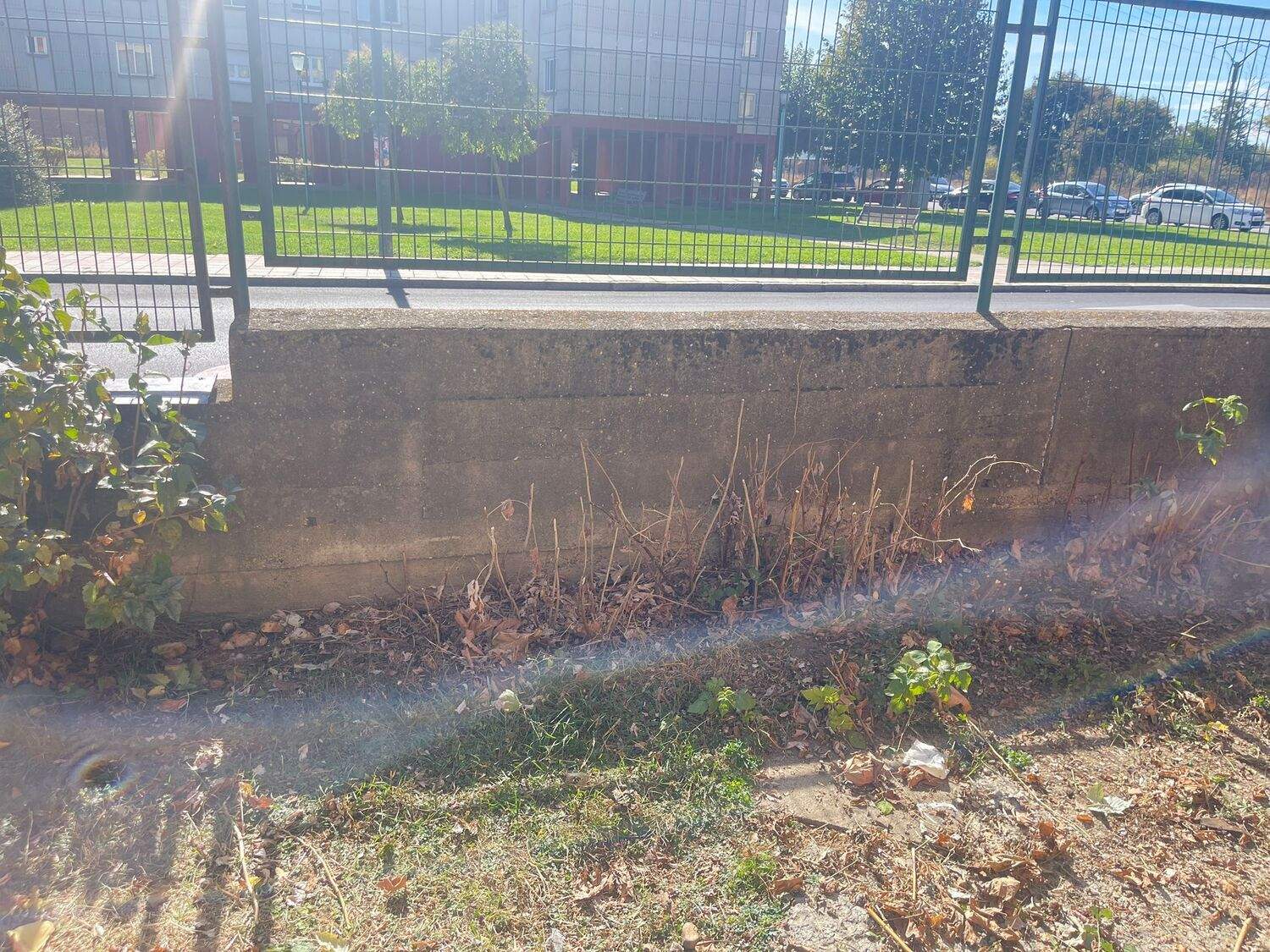 UPL reclama una solución inmediata a los "problemas de insalubridad" en el patio del CEIP Lope de Vega