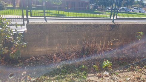 UPL reclama una solución inmediata a los "problemas de insalubridad" en el patio del CEIP Lope de Vega