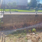 UPL reclama una solución inmediata a los "problemas de insalubridad" en el patio del CEIP Lope de Vega