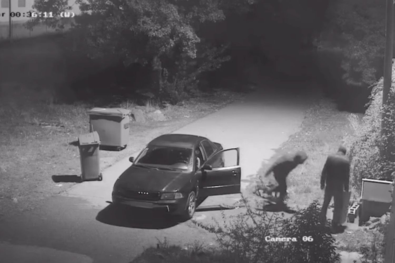 APAP denuncia el abandono de tres perros a las puertas de sus instalaciones | APAP APAP denuncia el abandono de tres perros a las puertas de sus instalaciones | APAP