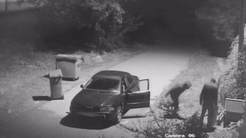 APAP denuncia el abandono de tres perros a las puertas de sus instalaciones | APAP