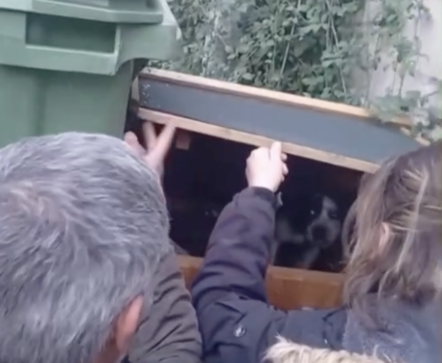 Momento en el que encontraron a los cachorros | APAP Momento en el que encontraron a los cachorros | APAP