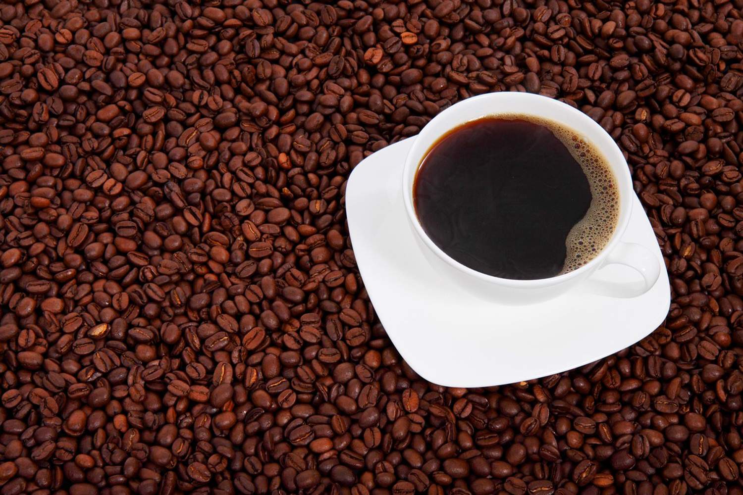 6.000 tazas de café por el comercio justo: León se suma a la jornada nacional con 50 establecimientos 6.000 tazas de café por el comercio justo: León se suma a la jornada nacional con 50 establecimientos