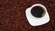 6.000 tazas de café por el comercio justo: León se suma a la jornada nacional con 50 establecimientos