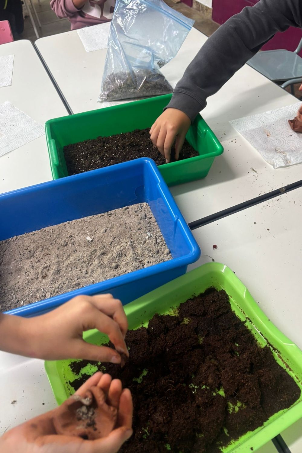 Bombas de semillas del CEIP Emilio