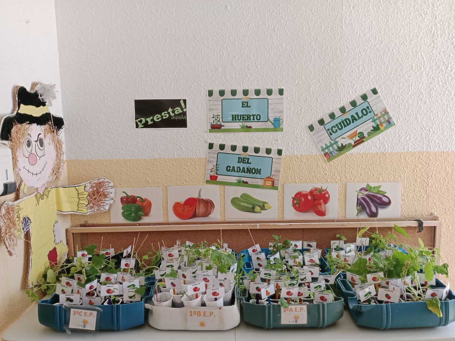 La Fundación Presta! Ayuda cultiva solidaridad y educación para los leoneses más necesitados