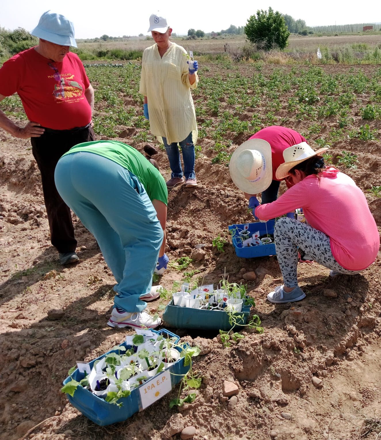 Fundación Presta! Ayuda