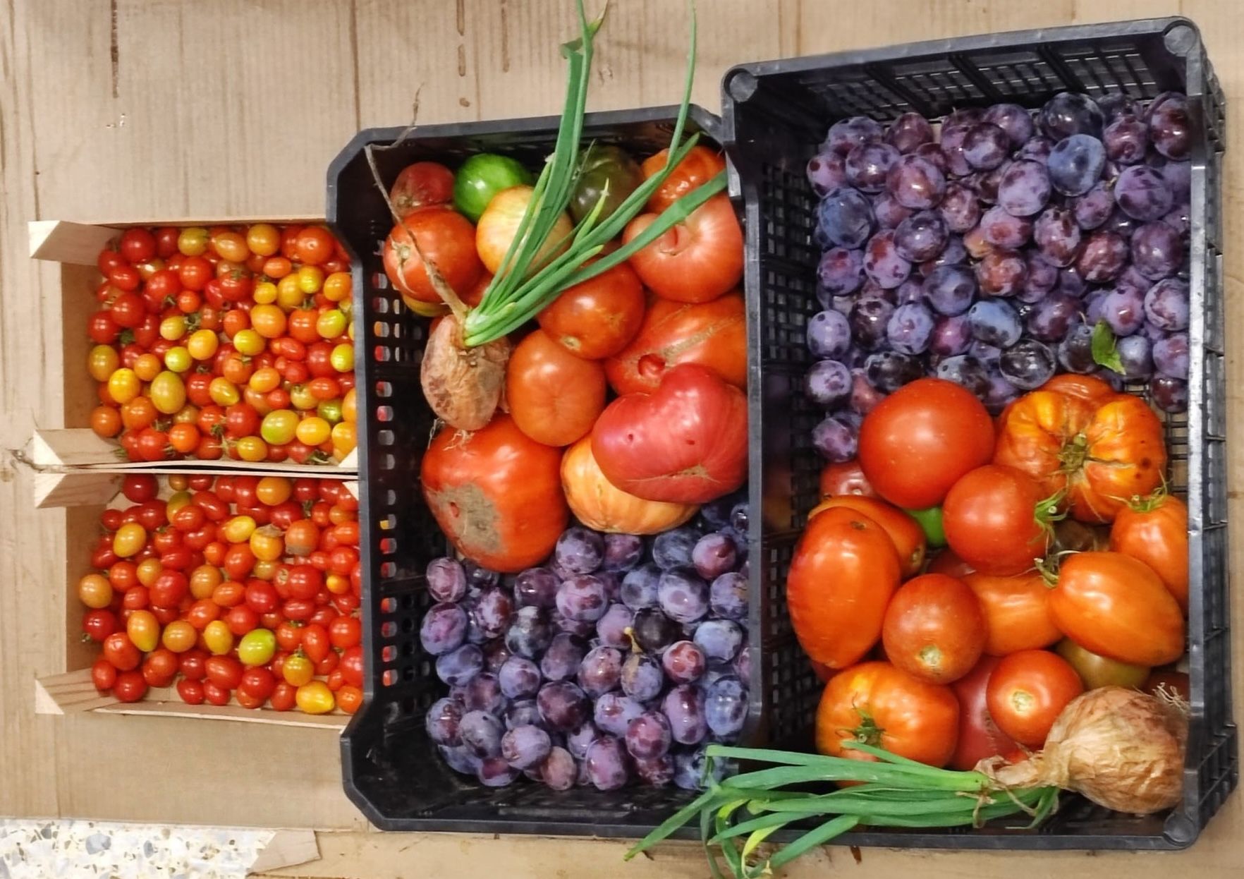 Fundación Presta! Ayuda