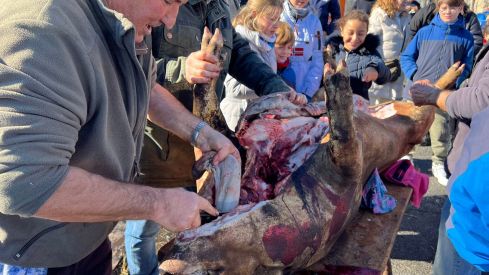 Imagen de archivo de una matanza | Rmestudios / ICAL