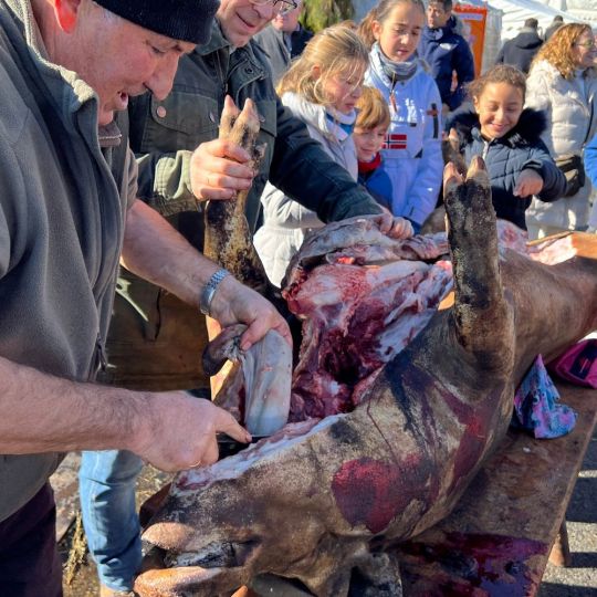 Imagen de archivo de una matanza | Rmestudios / ICAL