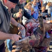 Imagen de archivo de una matanza | Rmestudios / ICAL