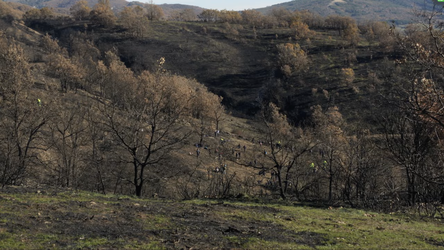 Fotograma del villancico del Colegio Leonés de esta Navidad Fotograma del villancico del Colegio Leonés de esta Navidad