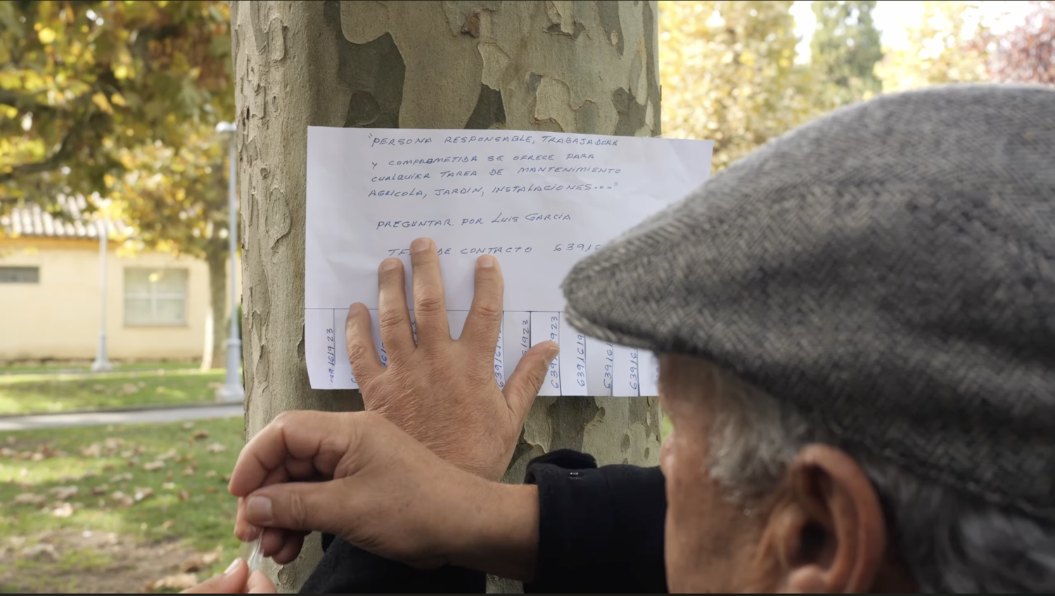 Fotograma del villancico del Colegio Leonés de esta Navidad Fotograma del villancico del Colegio Leonés de esta Navidad