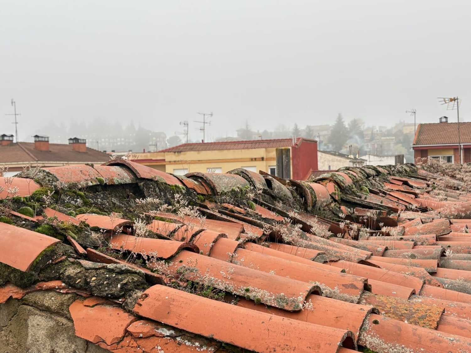 La Junta reparará la cubierta del Colegio Trepalio en Trobajo del Camino ante la "inacción municipal" La Junta reparará la cubierta del Colegio Trepalio en Trobajo del Camino ante la "inacción municipal"