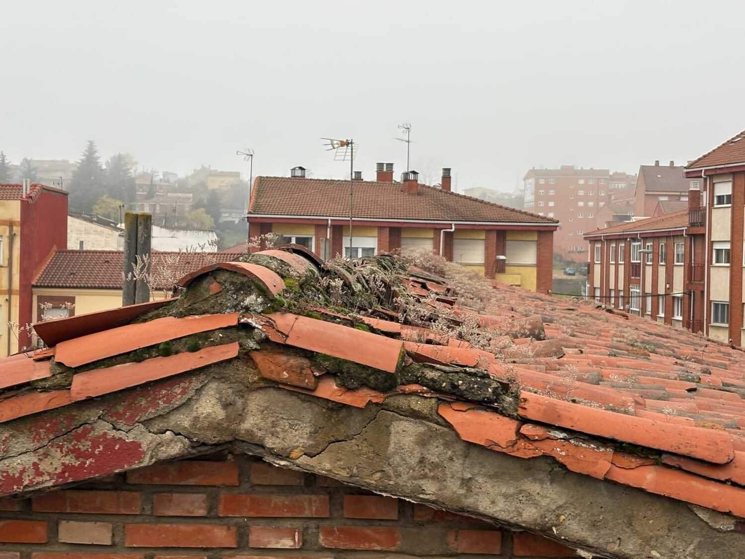 Cubierta del colegio Trepalio de Trobajo del Camino Cubierta del colegio Trepalio de Trobajo del Camino