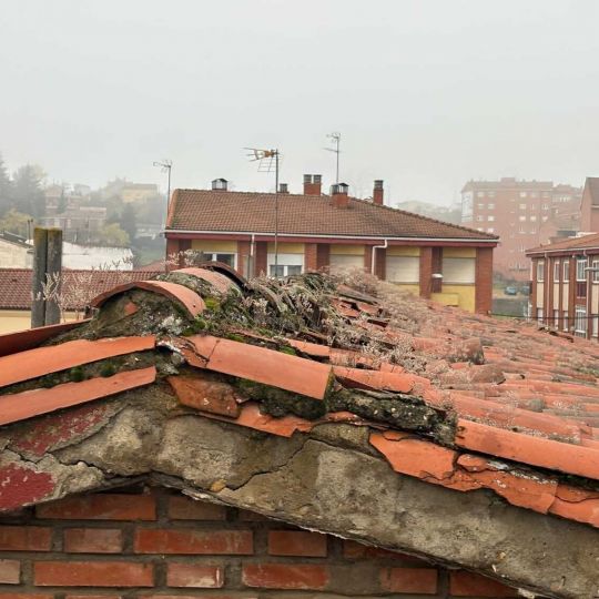 Cubierta del colegio Trepalio de Trobajo del Camino