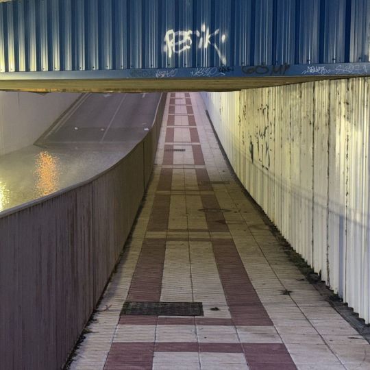 Paso peatonal de los túneles de la calle Príncipe Paso peatonal de los túneles de la calle Príncipe