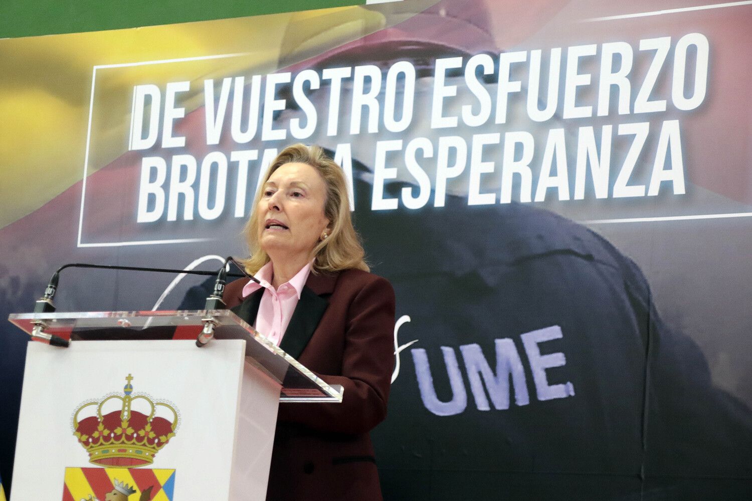 La Diputación de León rinde homenaje a la Unidad Militar de Emergencias | Peio García / ICAL La Diputación de León rinde homenaje a la Unidad Militar de Emergencias | Peio García / ICAL