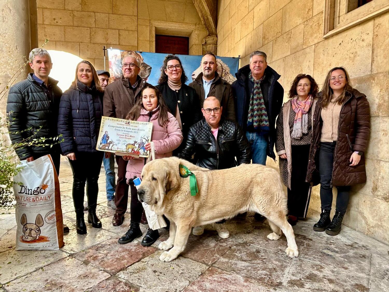 Narancu del Pico Moro y Cantora ganan el Campeonato Provincial de Mastín