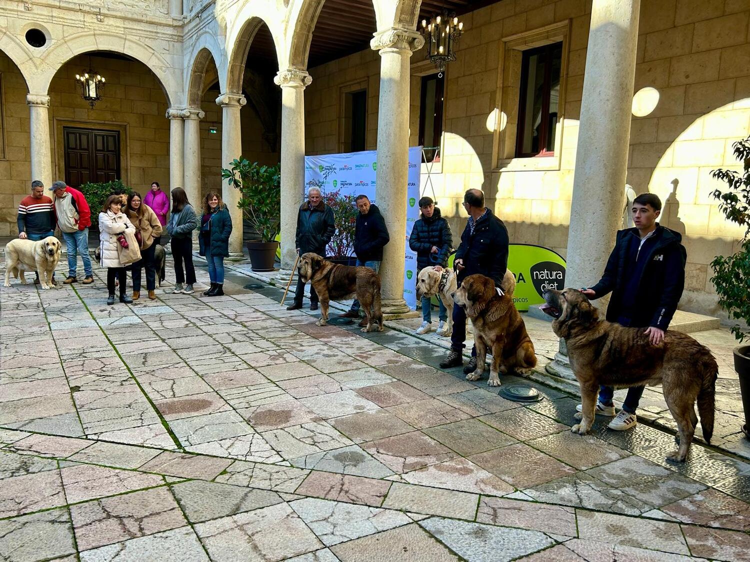 Entrega de premios del Campeonato Provincial de Mastín