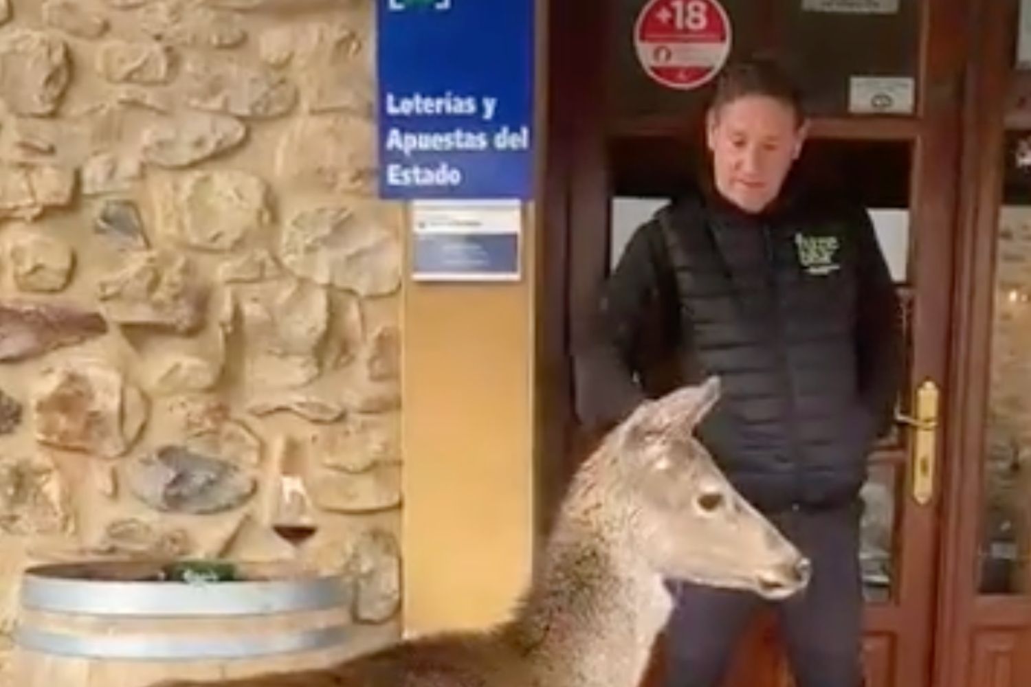 Piden a la Junta que no sacrifique a Pepa, la cierva que 'vive' con un vecino de La Vecilla (León)