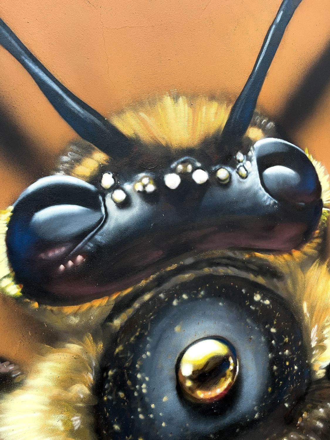 'Queen Bee' de Häcko Crâne