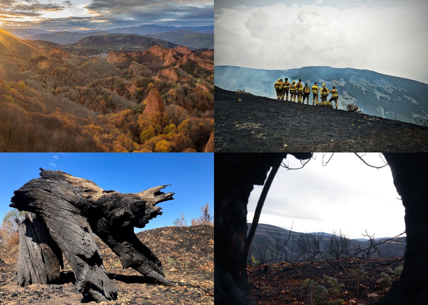 Concurso de fotos sobre los incendios forestales de León y El Bierzo