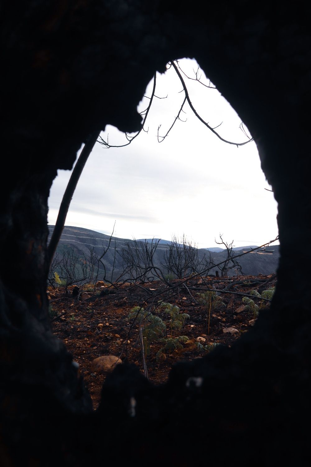 ULE 03 A través de las cenizas José Manuel Azabal (2)