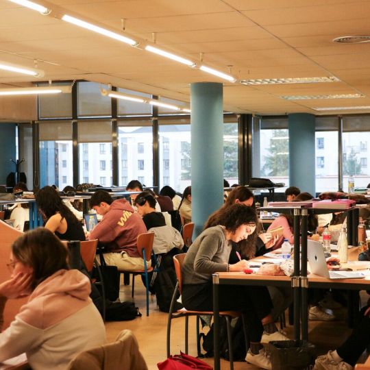 Universidad de León durante la época de exámenes