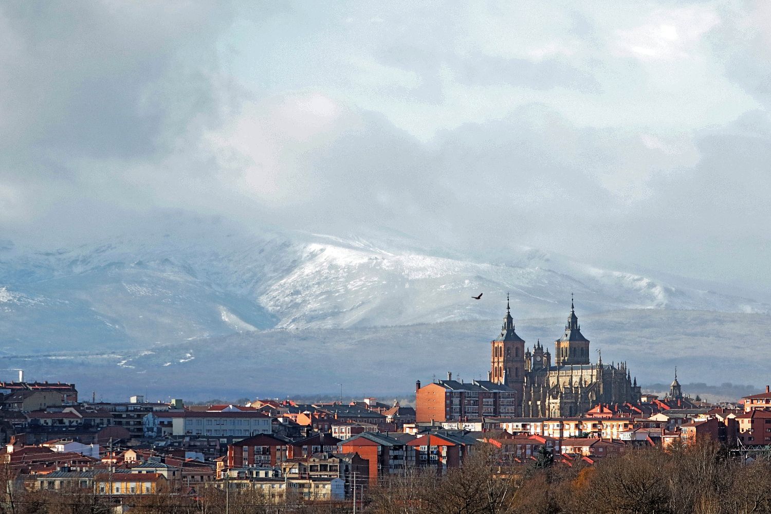 León compite con otras siete ciudades para albergar la futura Agencia Estatal de Salud Pública | Peio García / ICAL