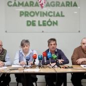 La tractorada de las opas en León ya tiene fecha: Llaman a la "unidad de acción" del sector contra Mercosur y la PAC | Campillo / ICAL