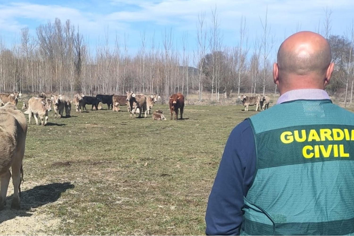 Dos detenidos por robar material eléctrico en una explotación ganadera de Sariegos