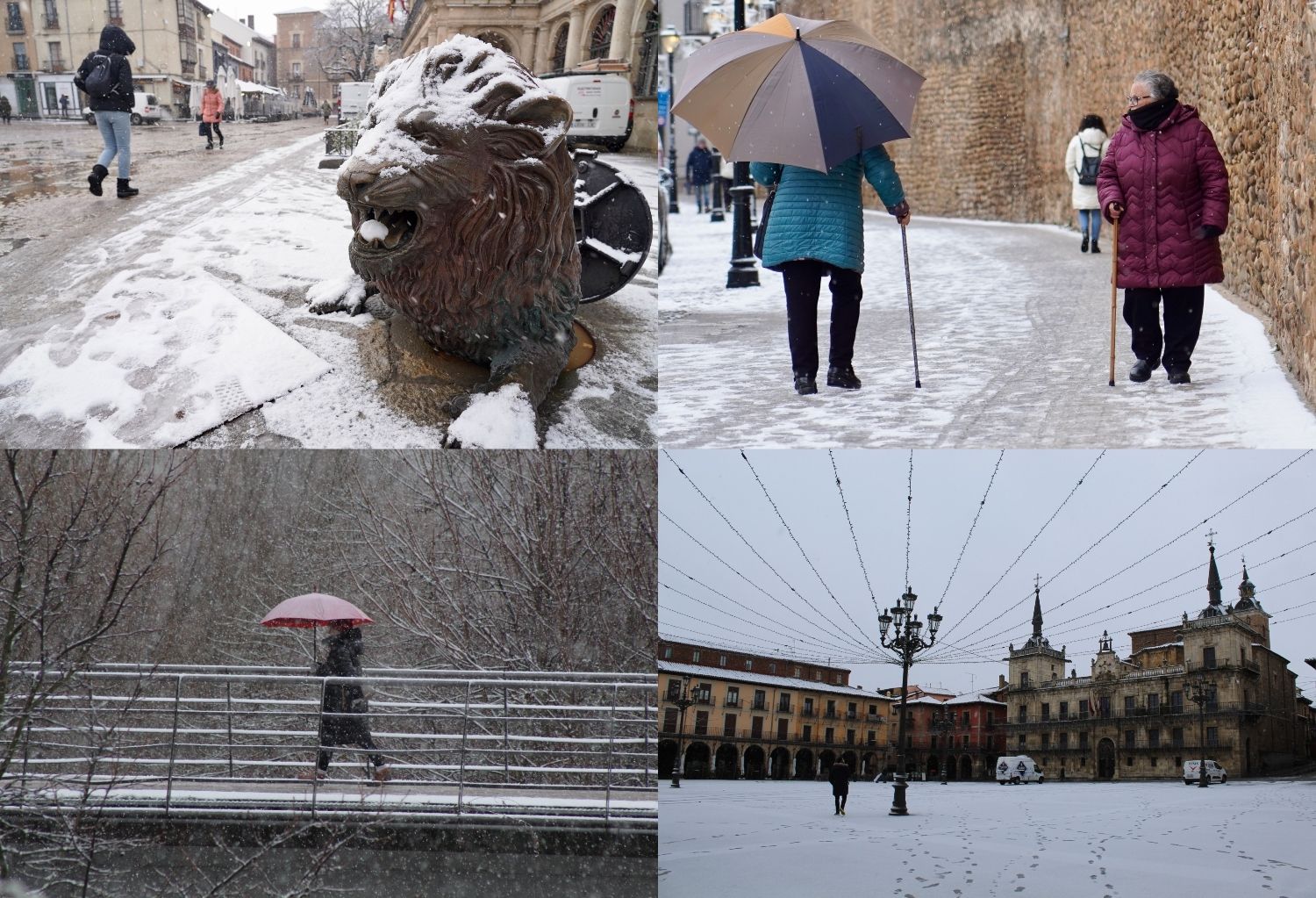 Ingrid viste de blanco a León: La nieve cubre la capital Ingrid viste de blanco a León: La nieve cubre la capital