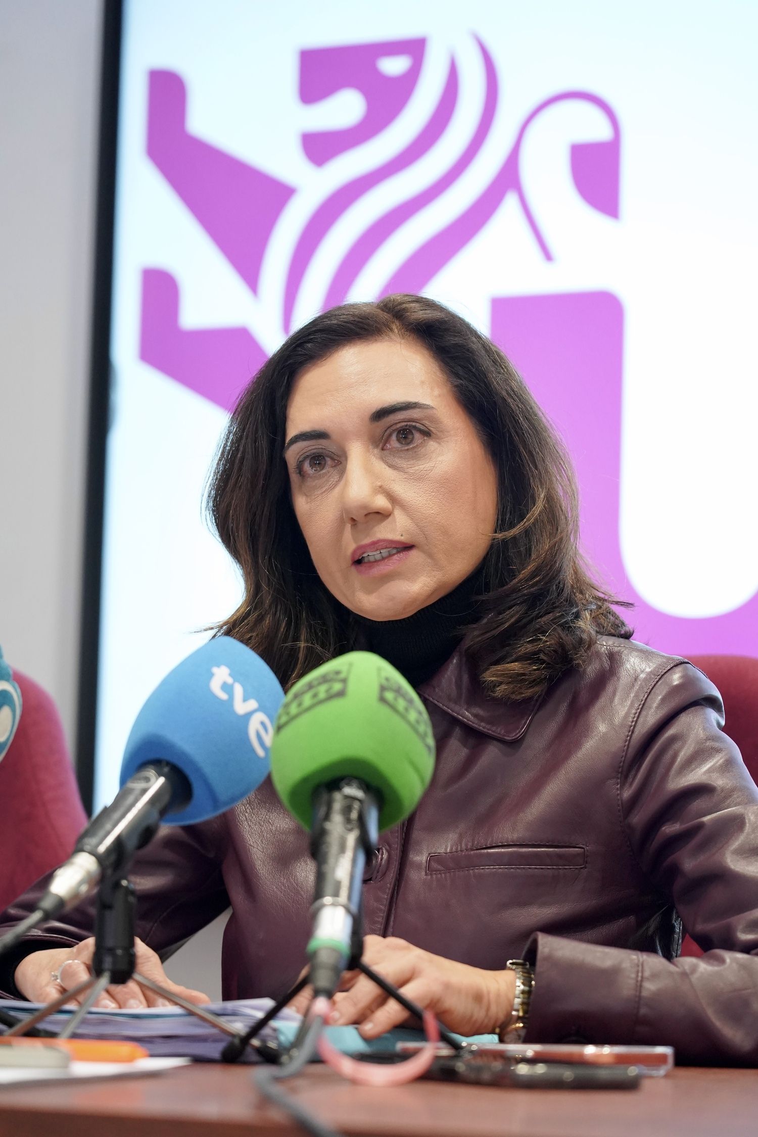 La secretaria general de Unión del Pueblo Leonés, Alicia Gallego, el vicesecretario general, Luis Mariano Santos, y el presidente, Carlos J. Salgado, valoran la legislatura que acaba de concluir en las Cortes de Castilla y León