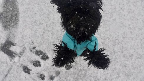 León se vuelve a vestir de blanco con la borrasca Kristin | Campillo / ICAL