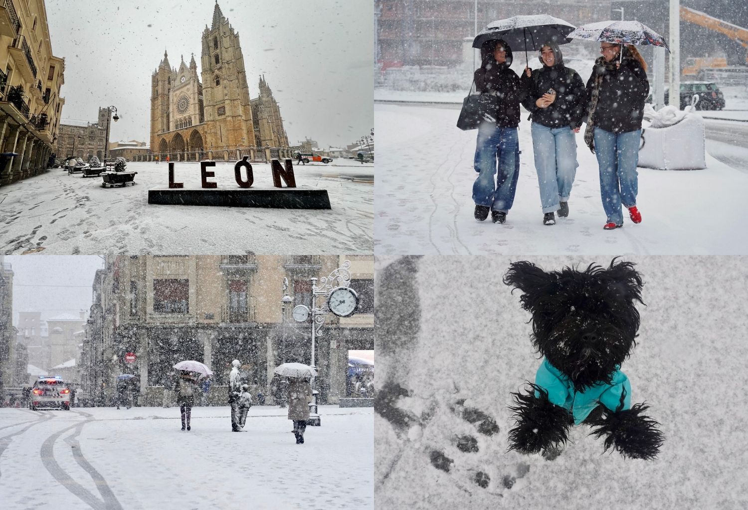 León se vuelve a vestir de blanco con la borrasca Kristin | Campillo / ICAL